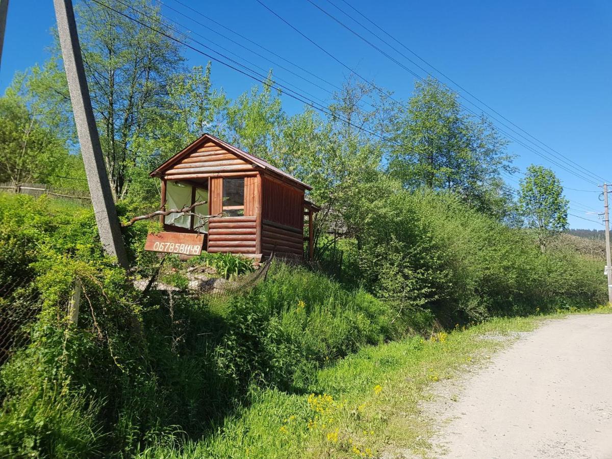 Карпатський Будинок Apartamento Izki Exterior foto