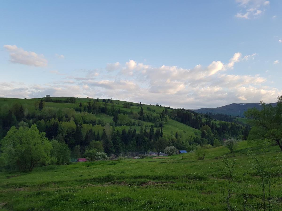 Карпатський Будинок Apartamento Izki Exterior foto