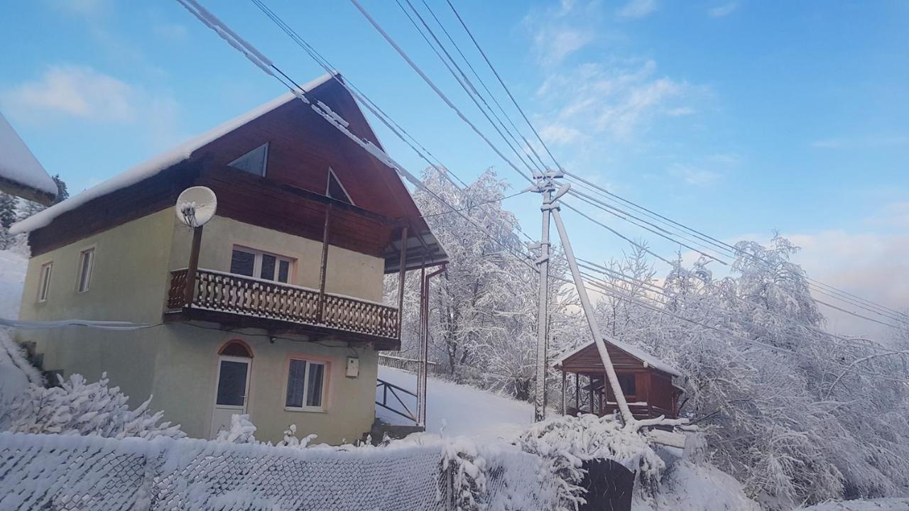 Карпатський Будинок Apartamento Izki Exterior foto